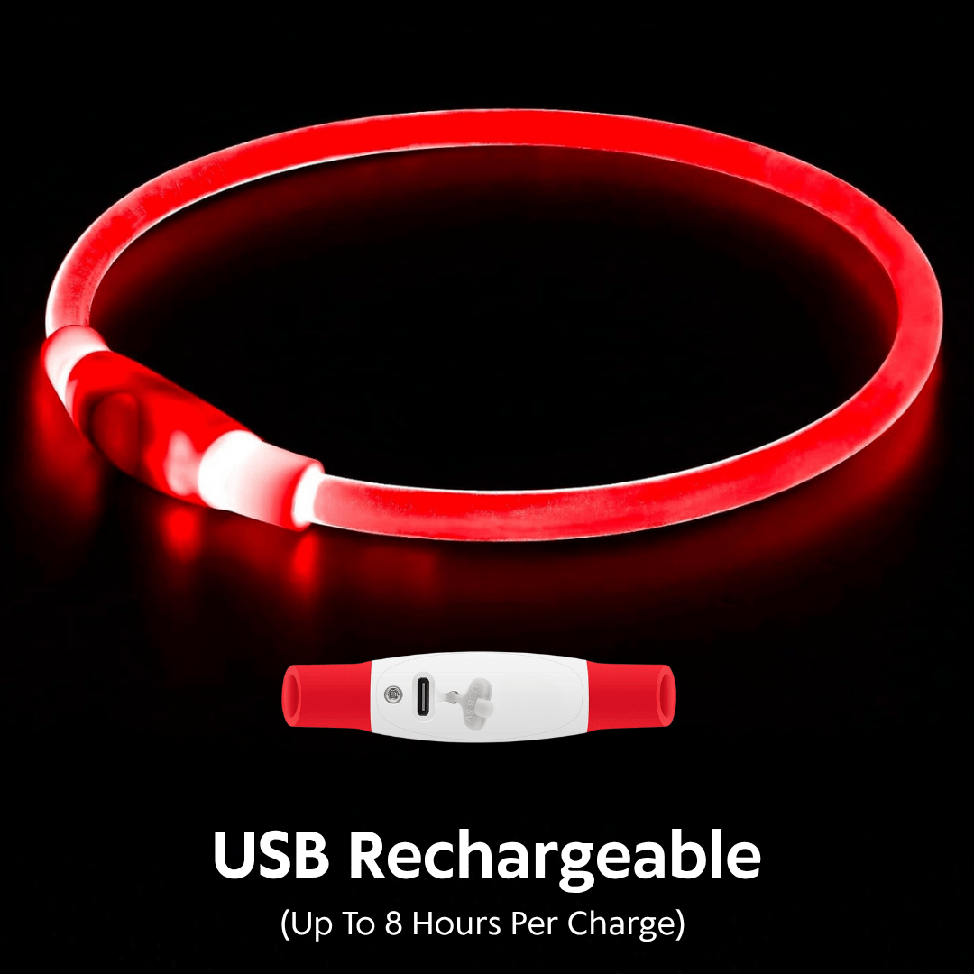 Light-Up Dog Collar